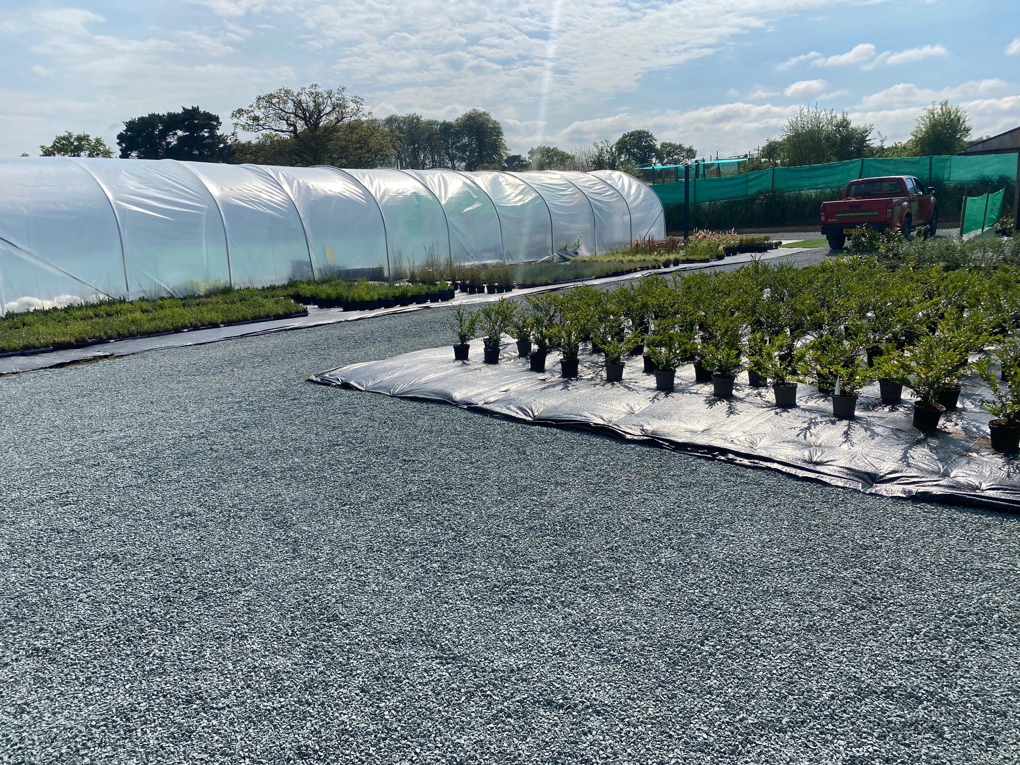 Bare Root Trees Norley Road Garden Nurseries Limited